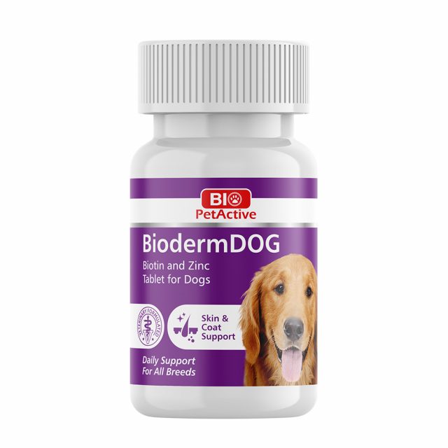BioPetActive BiodermDog - Skin and Coat Support with Zinc, Biotin and Omega-3. Suplemente per shendetin e lekures dhe gezofit