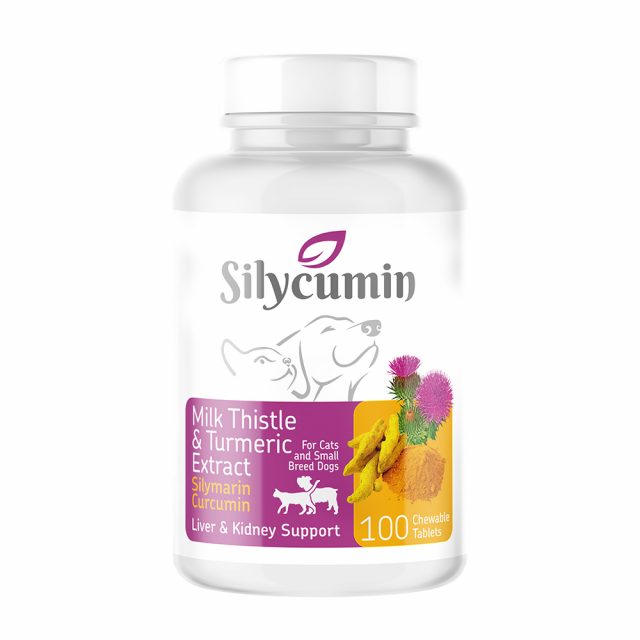BioPetActive silycumin liver and kidney support. Tableta për kujdesin e veshkave dhe melqi