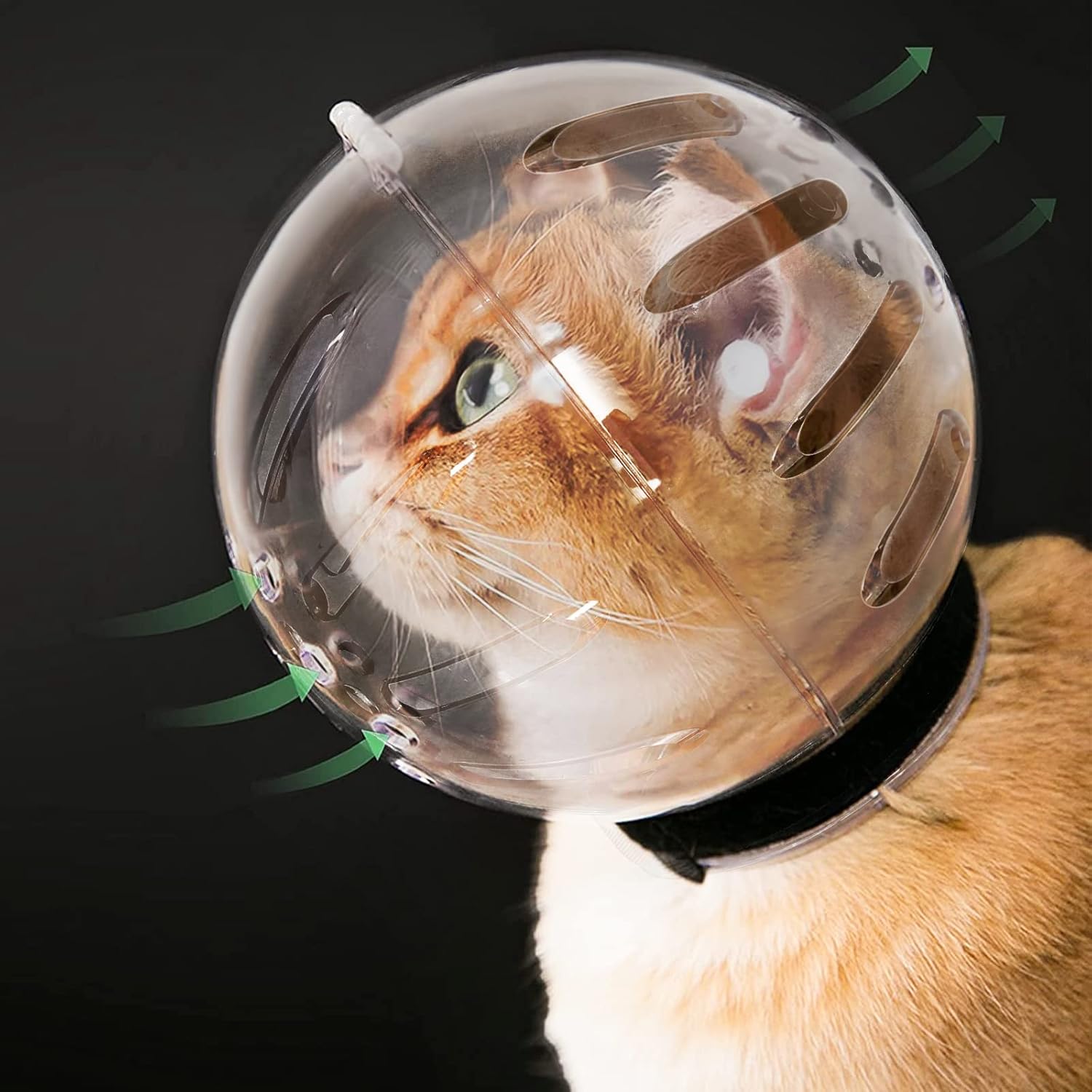 Helmet Astronaut for cats. Helmet ne form te astronautit