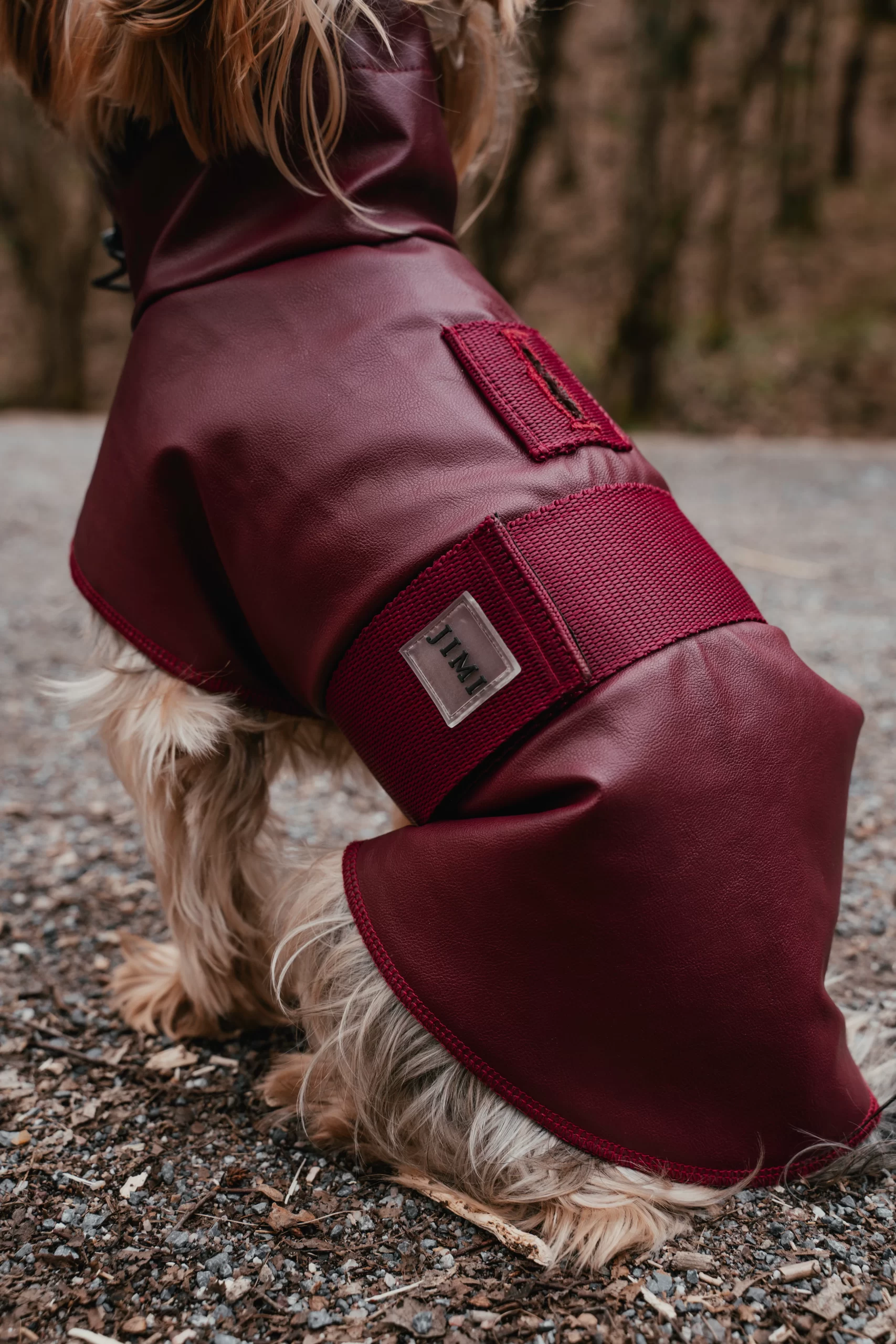 Bordox raincoat for dogs. Rroba për mbrotje nga shiu - Figura 5