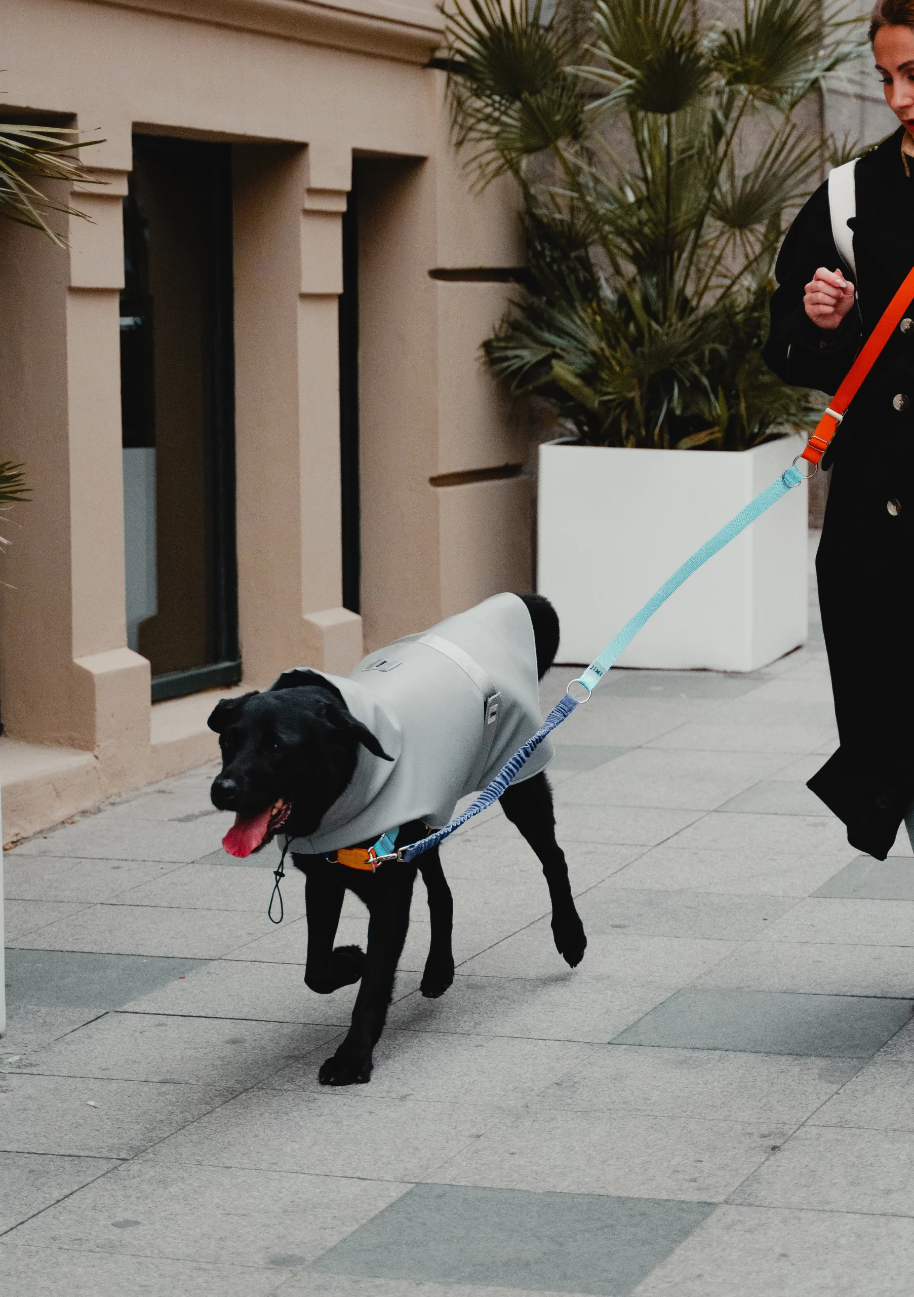 Grey raincoat. Rroba për mbrotje nga shiu - Figura 2