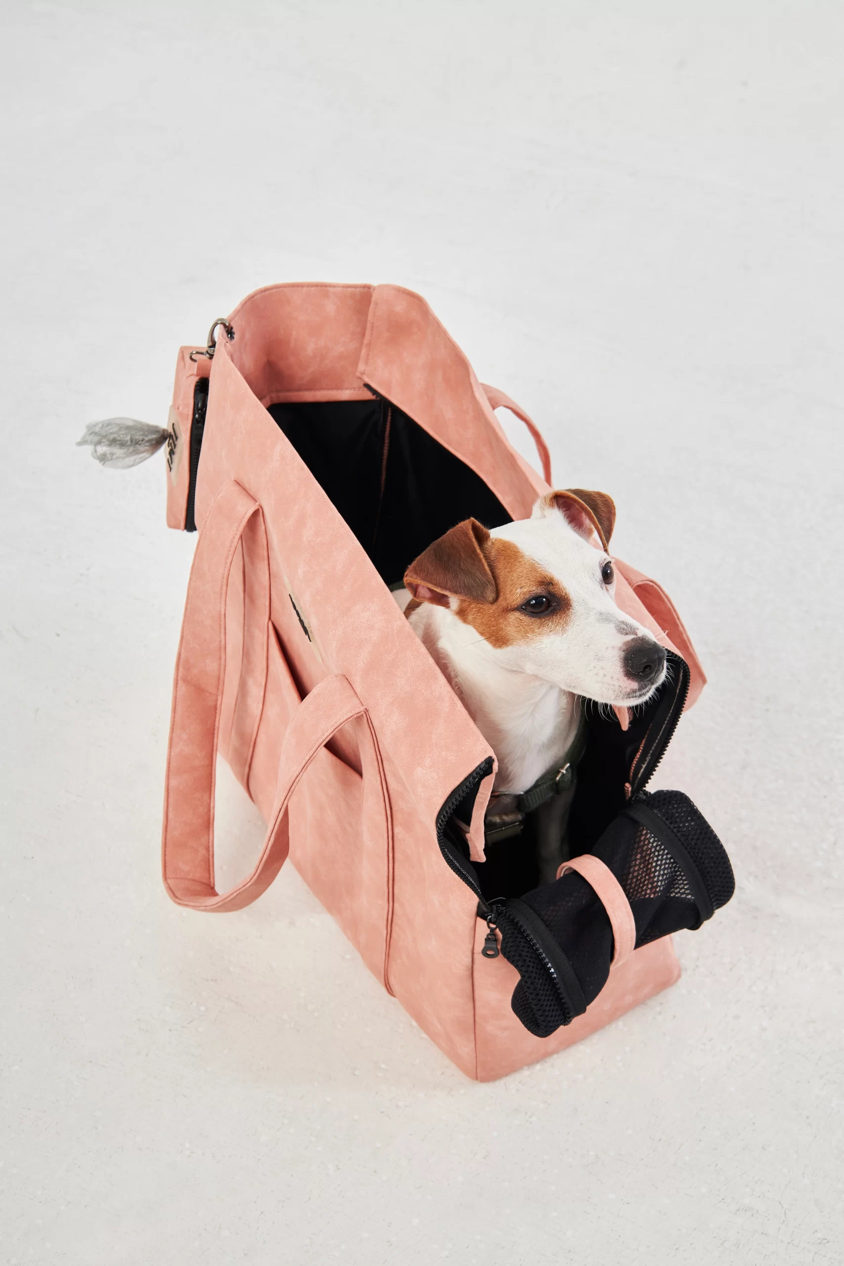 Lola pet carrying bag. Qantë dore për kafsh - Figura 5