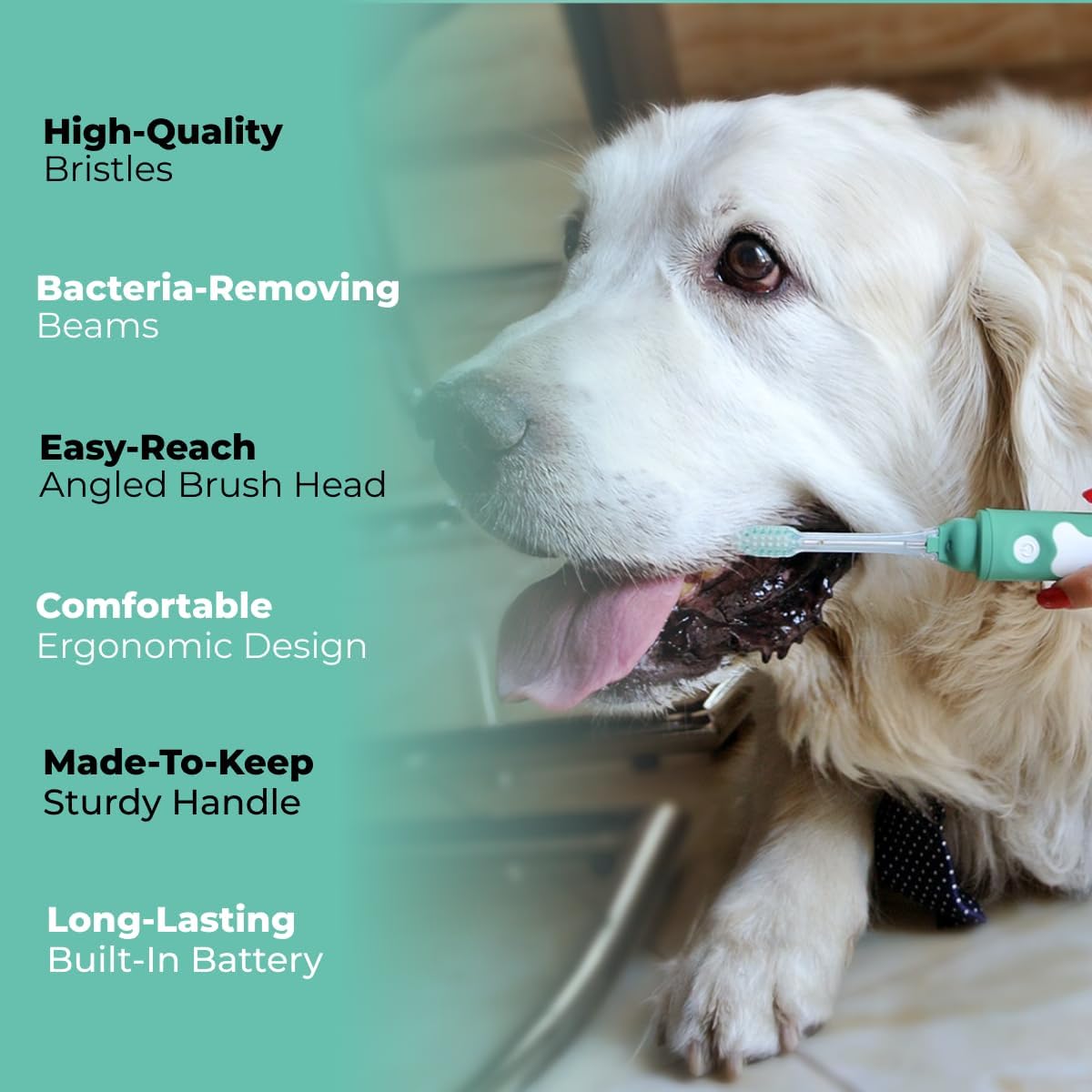 Petsie toothbrush with electrolytic. Furça e dhëmbëve Petsie Dog me teknologji elektrolitike. - Figura 4