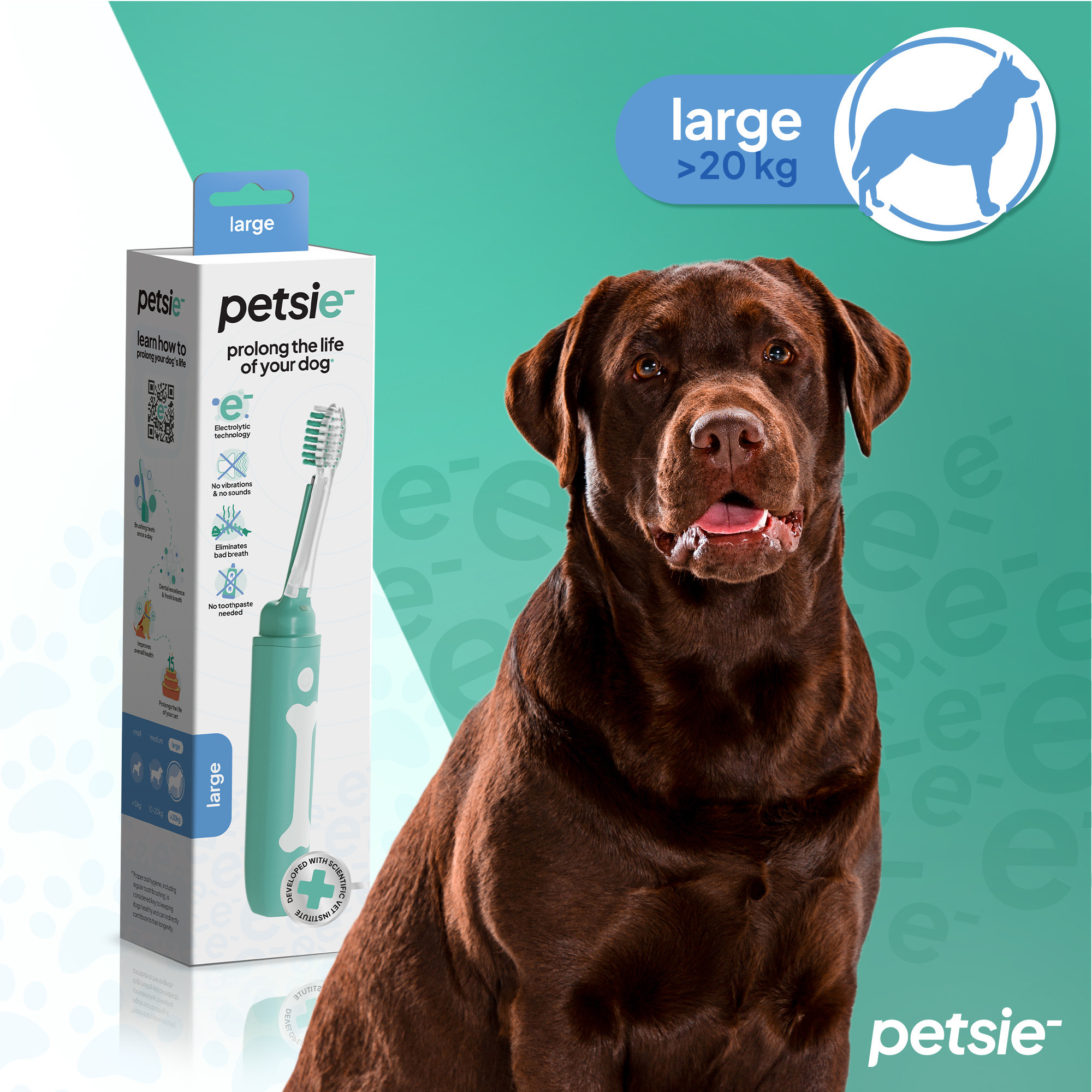 Petsie toothbrush with electrolytic. Furça e dhëmbëve Petsie Dog me teknologji elektrolitike. - Figura 7