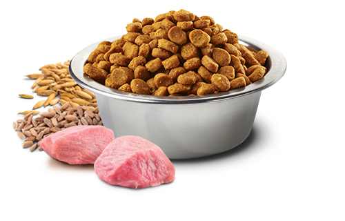 ND Ancestral Grain chicken 12kg + 3kg free - Figura 3