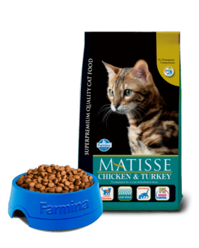 Matisse adult chicken and turkey 1.5kg. Ushqim per mace te rritura